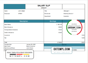 editable template, # hang time pay stub template in Word and PDF format