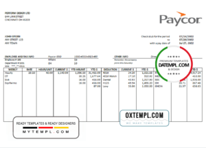 editable template, # clean sweep pay stub template in Word and PDF format