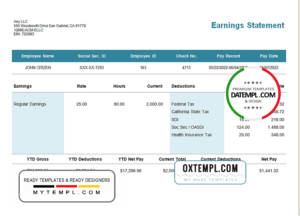 editable template, # central mass pay stub template in Word and PDF format