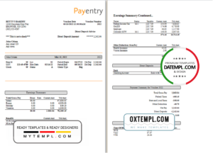 editable template, # nice likes pay stub template in Word and PDF format