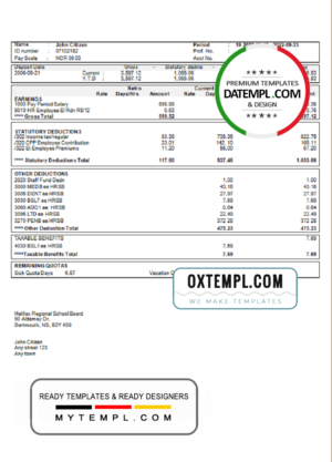 editable template, # bale out pay stub template in Word and PDF format
