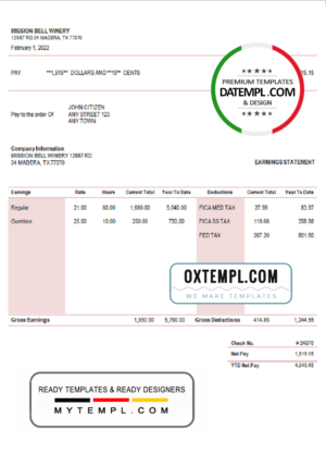 editable template, # fine touch pay stub template in Word and PDF format