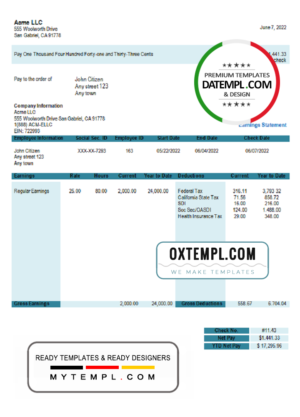 editable template, # joyful start pay stub template in Word and PDF format