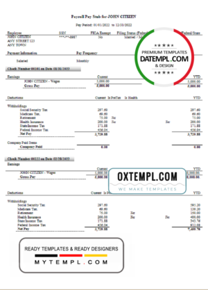 editable template, # smart router pay stub template in Word and PDF format