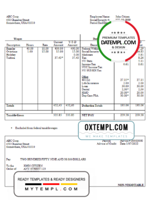 editable template, # neat desk pay stub template in Word and PDF format