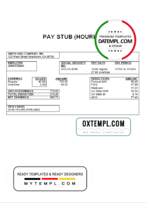 editable template, # merit circle pay stub template in Word and PDF format
