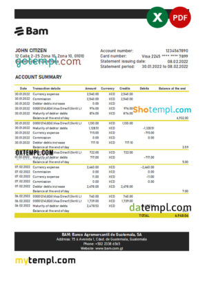 editable template, Guatemala Agromercantil bank statement Excel and PDF template