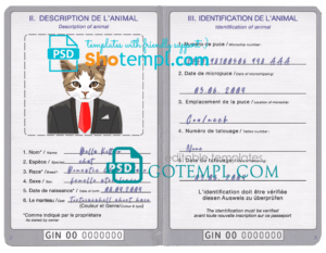 FREE editable template, Guinea cat (animal, pet) passport PSD template, fully editable