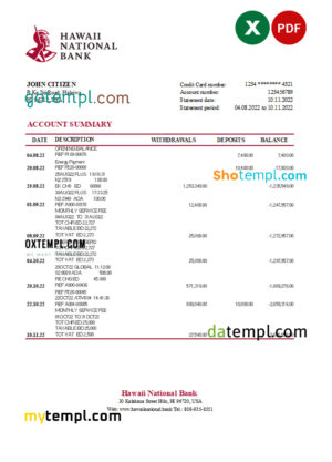 editable template, Hawaii National Bank statement Excel and PDF template