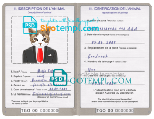 FREE editable template, Togo cat (animal, pet) passport PSD template, completely editable