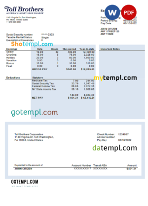editable template, USA building company earning statement template in Word and PDF format