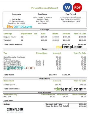 editable template, USA personal earning statement template in Word and PDF format
