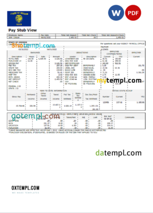 editable template, USA Texas commercial company earnings statement template in Word and PDF format