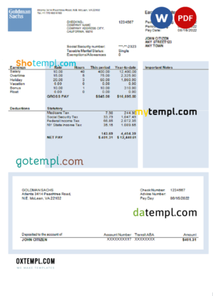 editable template, USA financial company earning statement template in Word and PDF format, version 2