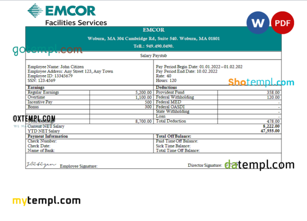 editable template, USA engineering company employee earning statement template in Word and PDF format