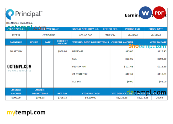 editable template, USA financial company earning statement template in Word and PDF format