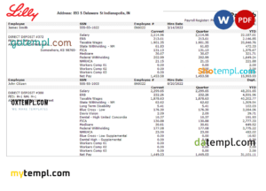 editable template, USA pharmaceutical company earnings statement template in Word and PDF format