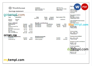 editable template, USA IT technologies company earning statement template in Word and PDF format