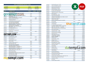 editable template, real 300 random bank transactions, Excel and PDF template, 7 pages