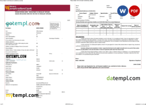 editable template, India Punjab National Bank statement Word and PDF template, 2 pages