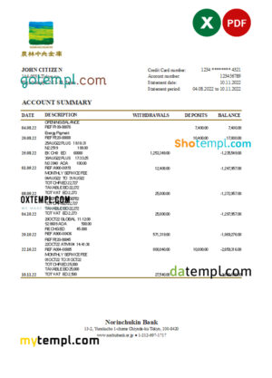 editable template, Japan Norinchukin bank statement Excel and PDF template
