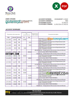 editable template, Pakistan Meezan bank statement Excel and PDF template