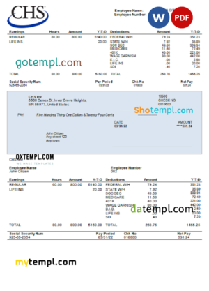 editable template, USA CHS Inc. agricultural company pay stub Word and PDF template