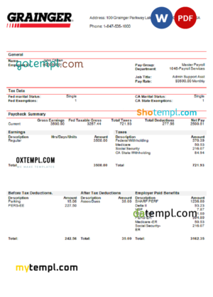 editable template, USA Grainger industry company pay stub Word and PDF template