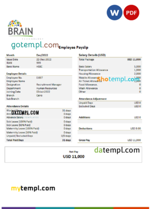 editable template, USA Brain Technology technology company pay stub Word and PDF template