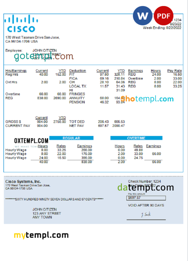 editable template, USA Cisco Systems, Inc. hardware company pay stub Word and PDF template