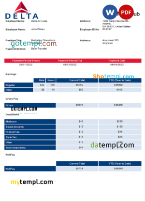 editable template, USA Delta Air Lines airlines company pay stub Word and PDF template