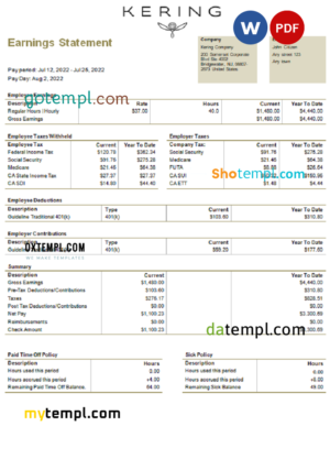 editable template, USA Kering luxury goods company pay stub Word and PDF template