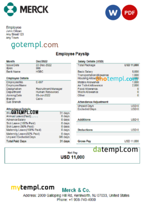 editable template, USA Merck & Co. pharmaceutical company pay stub Word and PDF template