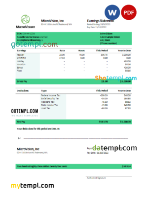 editable template, USA MicroVision informational company pay stub Word and PDF template