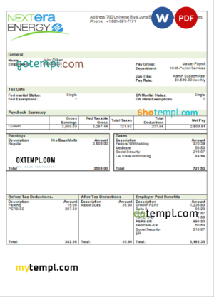 editable template, USA NextEra Energy electric company pay stub Word and PDF template