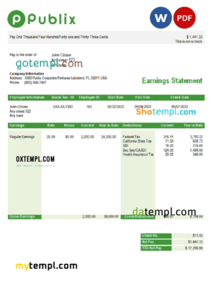 editable template, USA Publix Super Markets Inc. supermarket company pay stub Word and PDF template