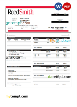 editable template, USA Reed Smith LLP law company pay stub Word and PDF template