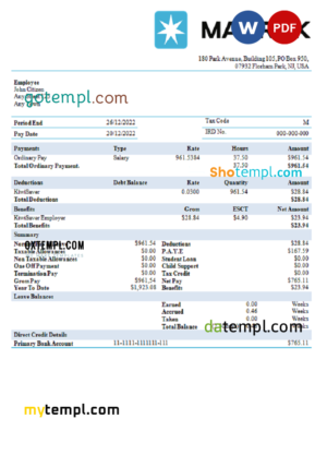 editable template, USA Maesk shipping company pay stub Word and PDF template