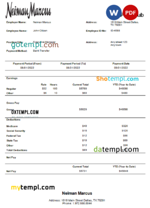 editable template, USA Neiman Marcus department store company pay stub Word and PDF template