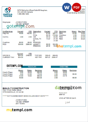 editable template, USA Omega Tours tourism company pay stub Word and PDF template