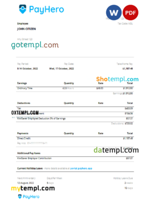 editable template, USA PayHero financial company pay stub Word and PDF template