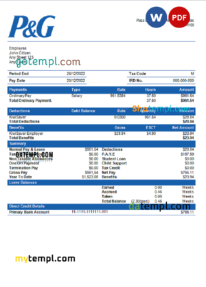 editable template, USA Procter &amp; Gamble consumer products company pay stub Word and PDF template