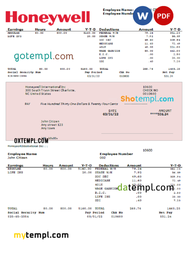 editable template, USA Honeywell conglomerate company pay stub Word and PDF template