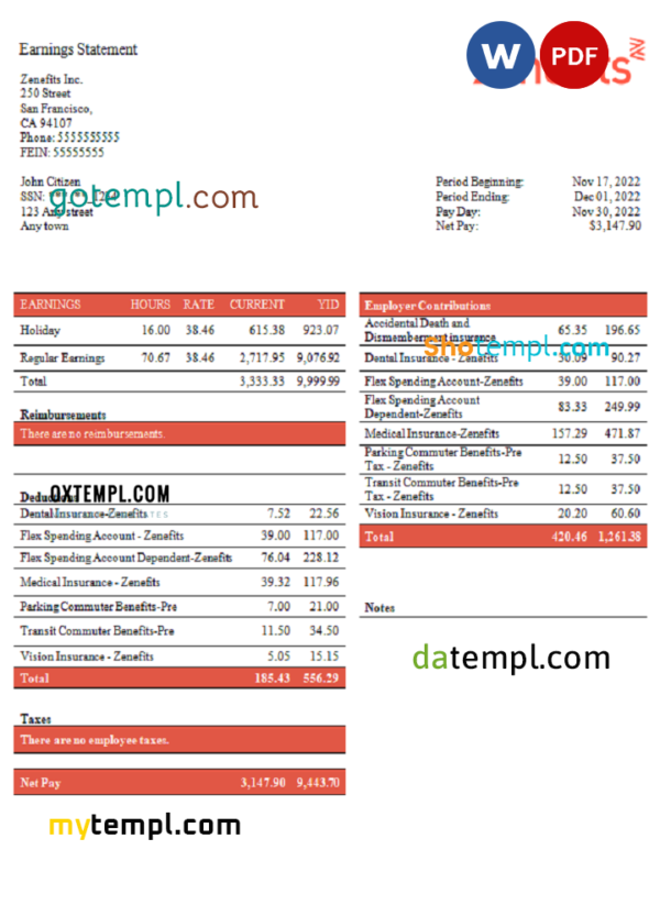 editable template, USA Zenefits technology company pay stub Word and PDF template