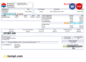editable template, USA American Excelsior distribution company pay stub Word and PDF template