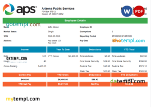 editable template, USA APS public services company pay stub Word and PDF template