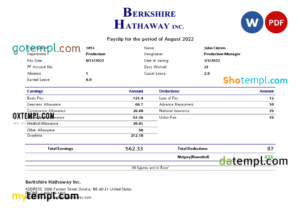 editable template, USA Berkshire Hathaway conglomerate company pay stub Word and PDF template