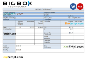 editable template, USA Big Box Technologies technology company pay stub Word and PDF template