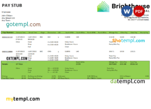 editable template, USA Brighthouse Financial financial company pay stub Word and PDF template