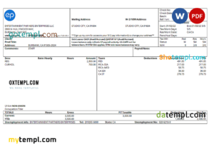 editable template, USA Entertainment Partners Enterprises financial company pay stub Word and PDF template